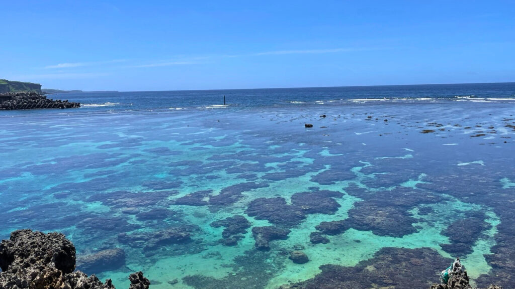 イムギャーマリンガーデンのサンゴ礁