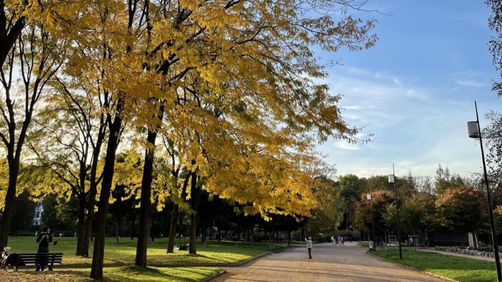 フランスの公園