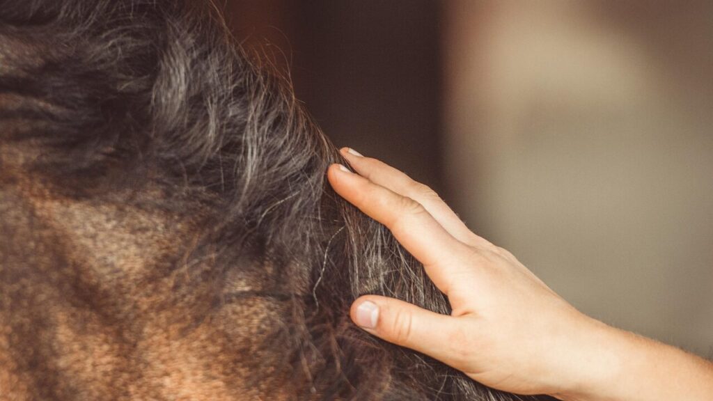 3. 手で触る、いじる만지다