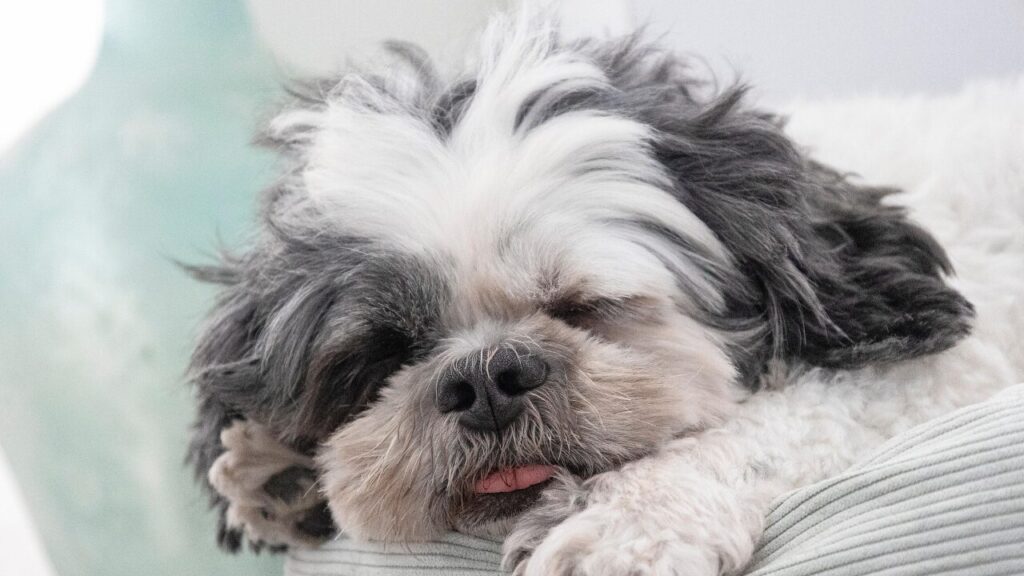 ぐっすり眠れたを表す「꿀잠」