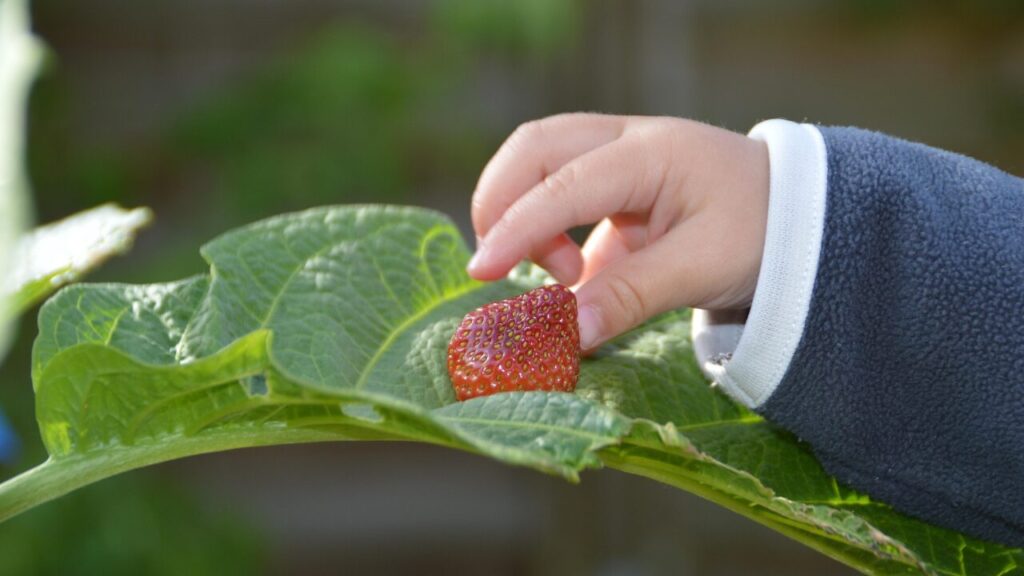 4. 手で取る、つまむ집다