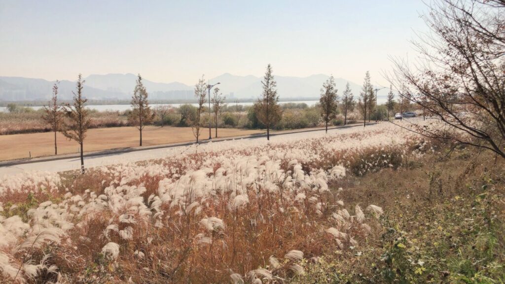 은은하다(ほのかだ)