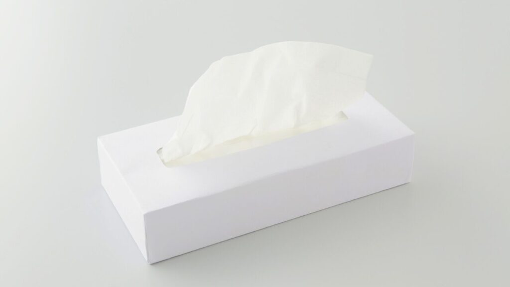 코를 풀다（鼻をかむ）