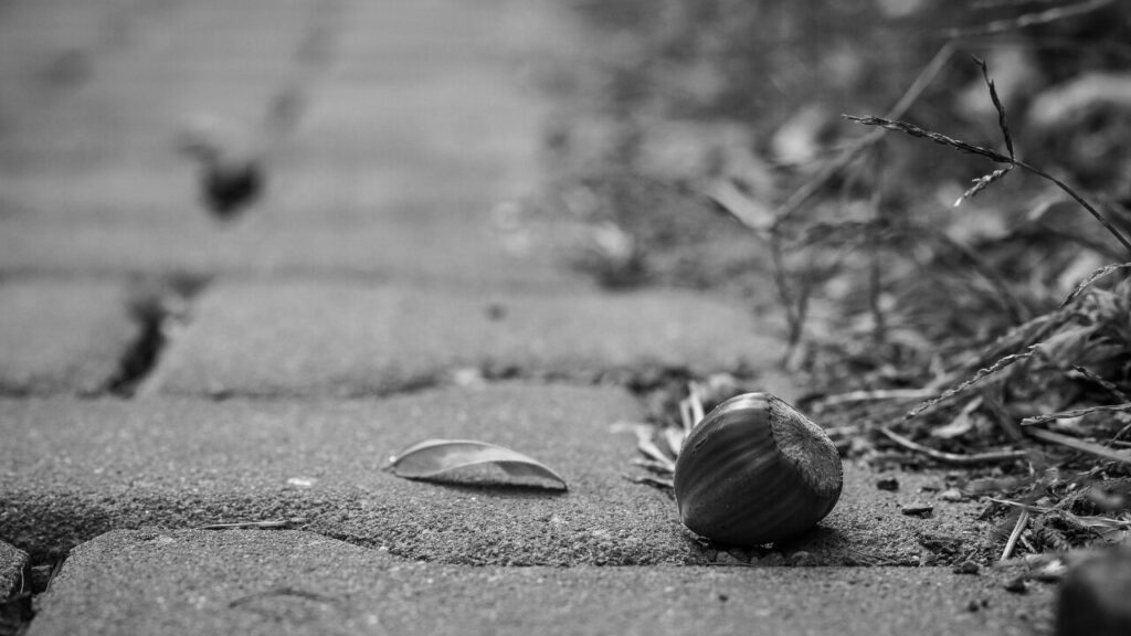 やっとのことで見つけた解決策。ただ、道のりは厳しかった。