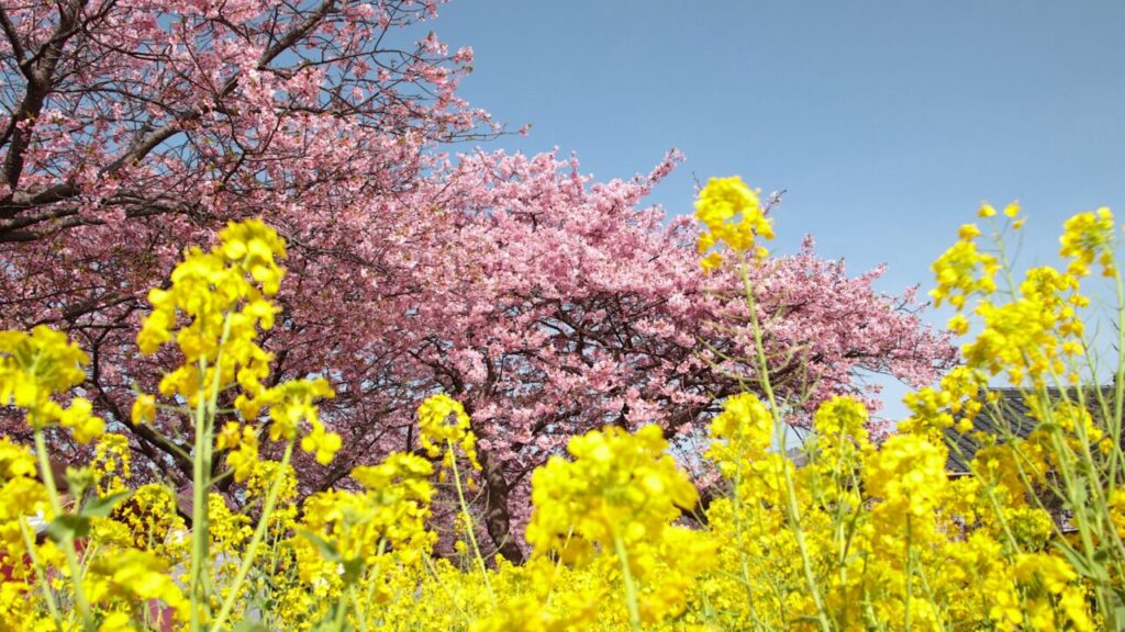温かい따뜻하다