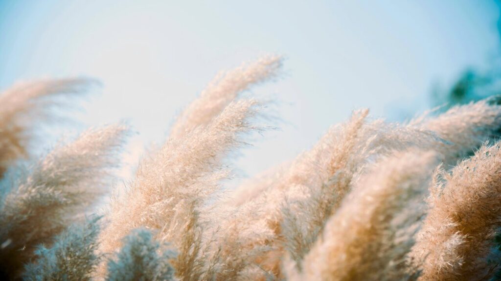 涼しい、気持ちいい선선하다