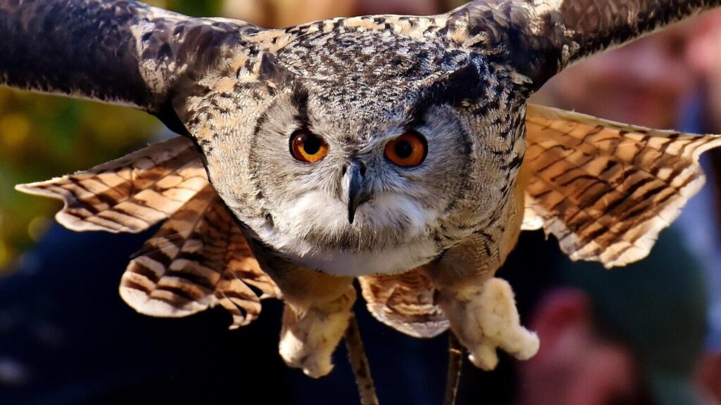 状況を素早く把握する눈치（空気を読む눈치）