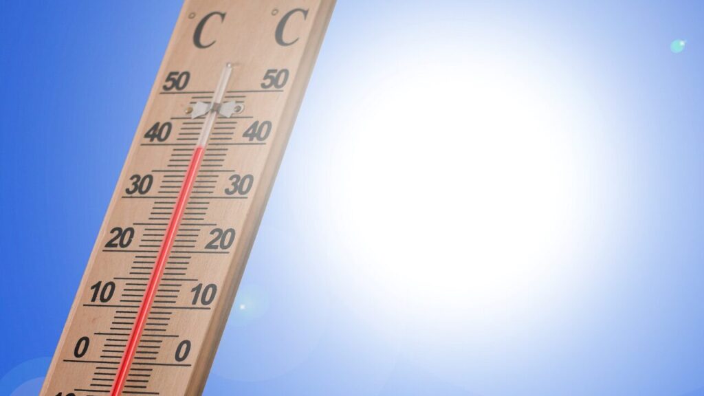 蒸し暑い무덥다