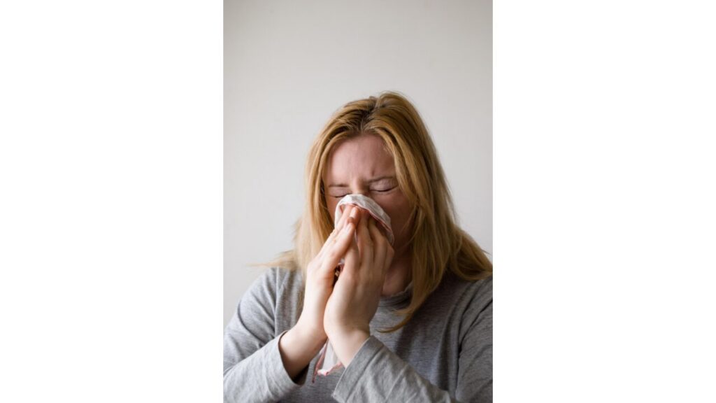 코를 풀다（鼻をかむ）