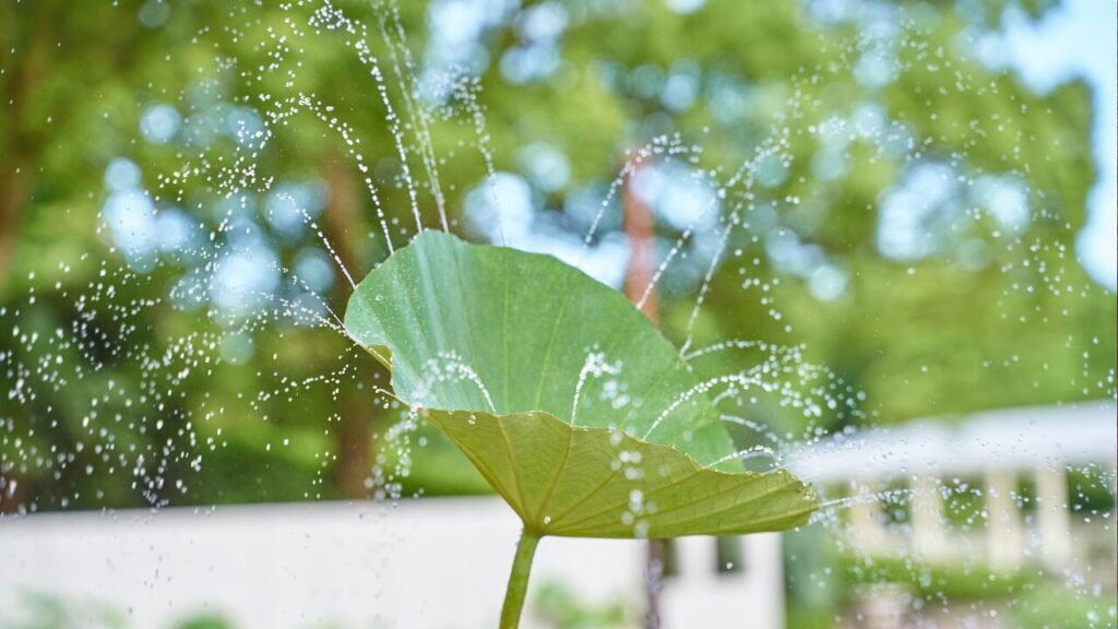 爽快だ、涼しい시원하다