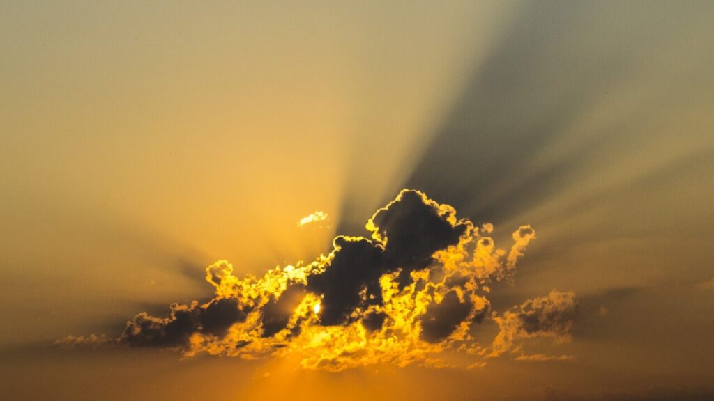 ④ 분위기를 타다