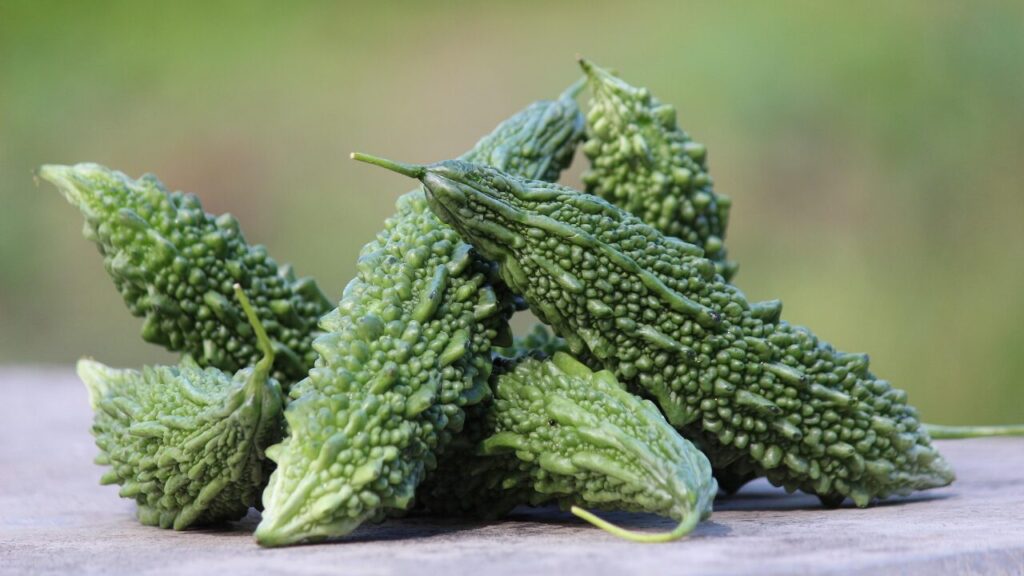 苦い（Bitter）쓰다