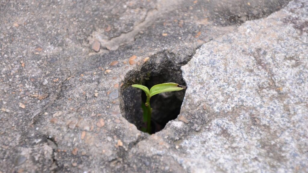 なぜ間違える？日本人が陥りやすい3つの落とし穴