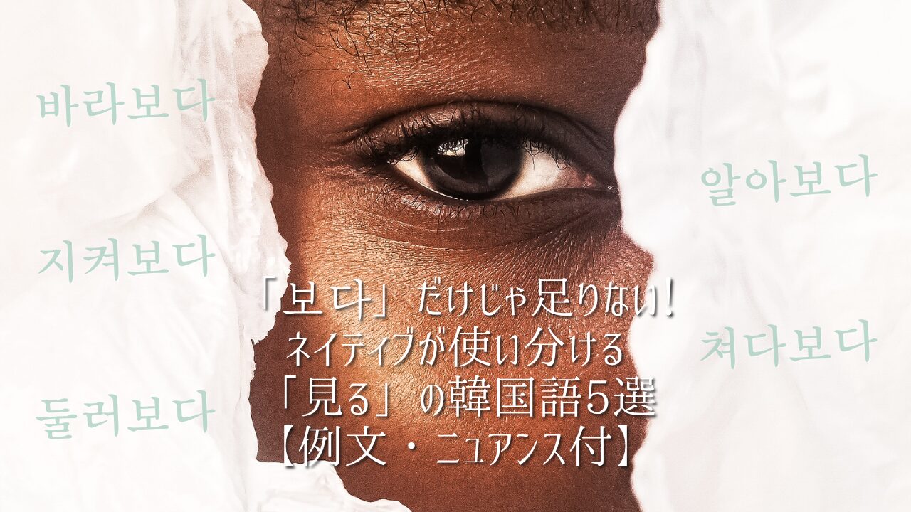 「보다」だけじゃ足りない！ネイティブが使い分ける「見る」の韓国語5選【例文・ニュアンス付】