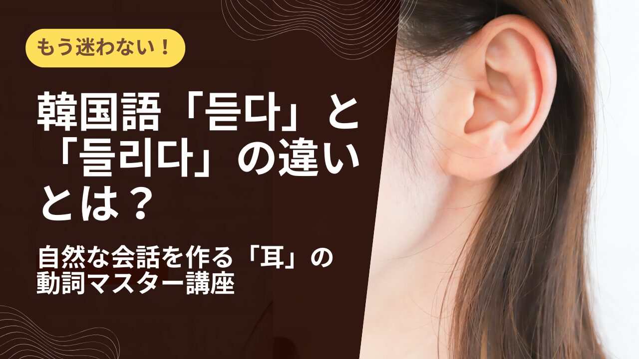 もう迷わない！韓国語「듣다」と「들리다」の違いとは？自然な会話を作る「耳」の動詞マスター講座